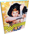 Wonder Woman: Amazon, Hero, Icon
