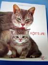 A CAT'S LIFE